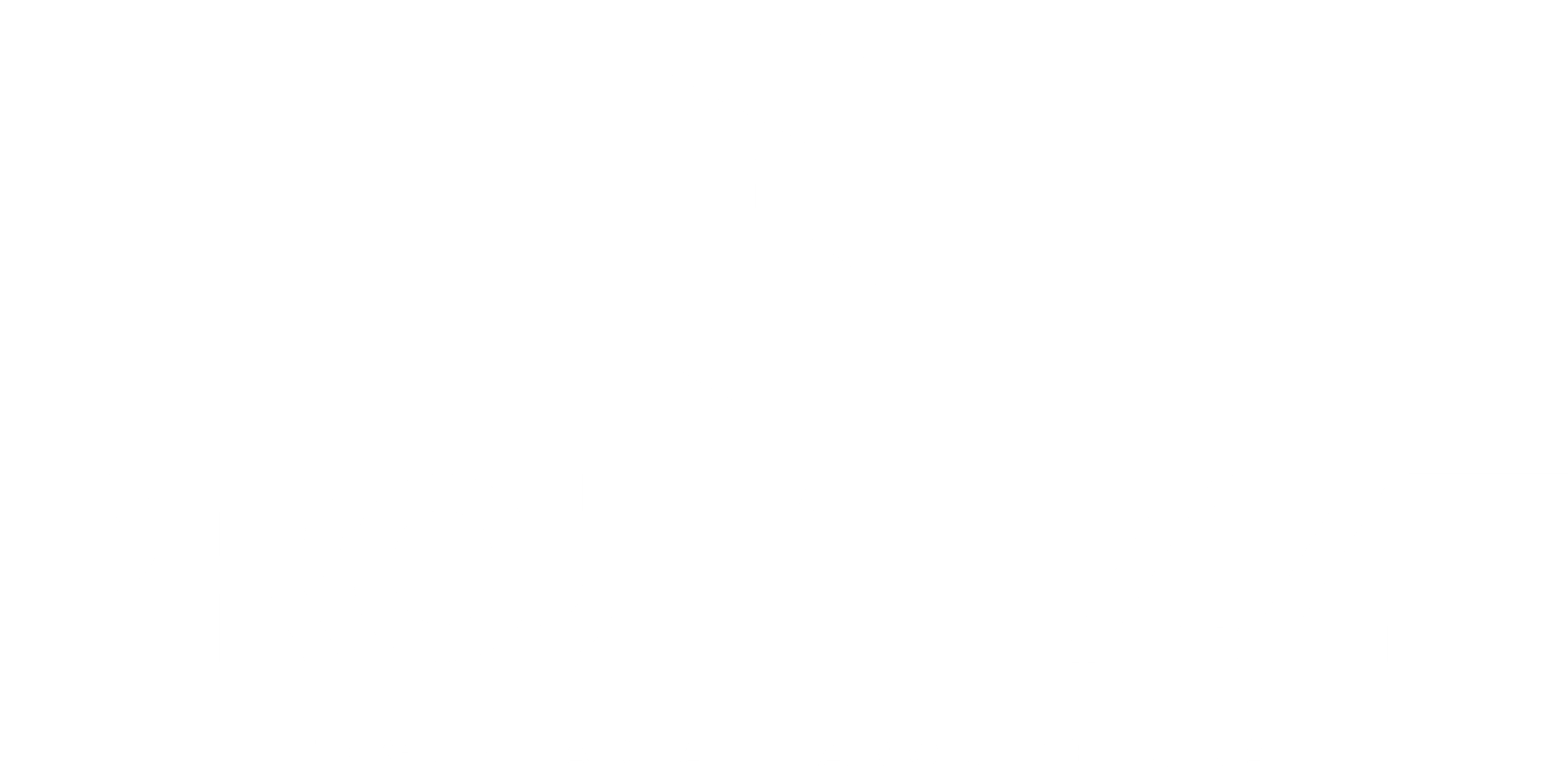 Projetizze